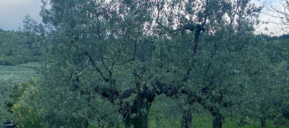 3300m² Land in Calenzano, Italy No. 257139 10