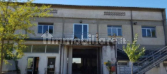 5 rooms Warehouse in Certaldo, Italy No. 278687 4