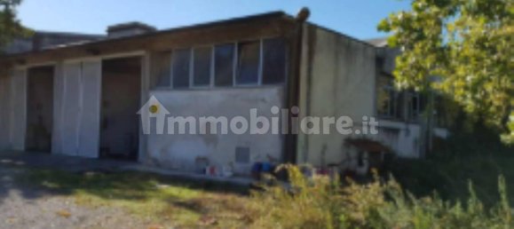 5 rooms Warehouse in Certaldo, Italy No. 278687 9