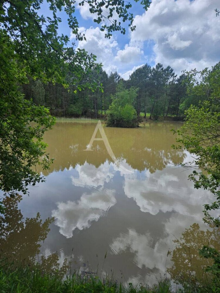 Terreno en Cere-la-Ronde, France 22722 m² No. 252560