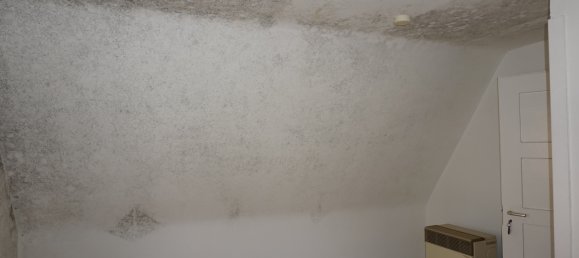 6 rooms House in Reutlingen, Germany No. 322596 11