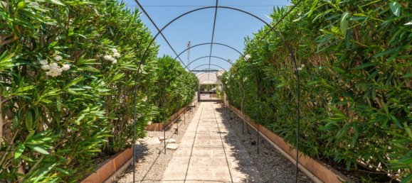  عقار تجاري في Andratx, Spain 836متر مربع رقم 156245 34