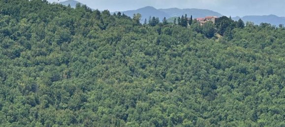 6 rooms House in Casola in Lunigiana, Italy No. 261559 4
