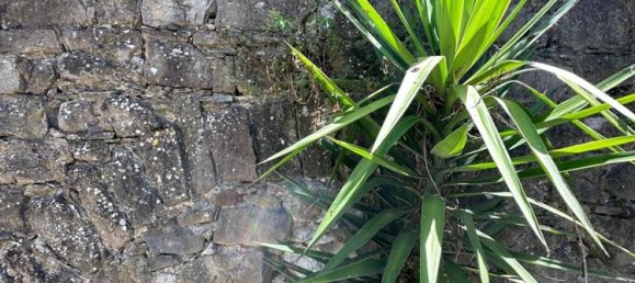 6 rooms House in Casola in Lunigiana, Italy No. 261559 31