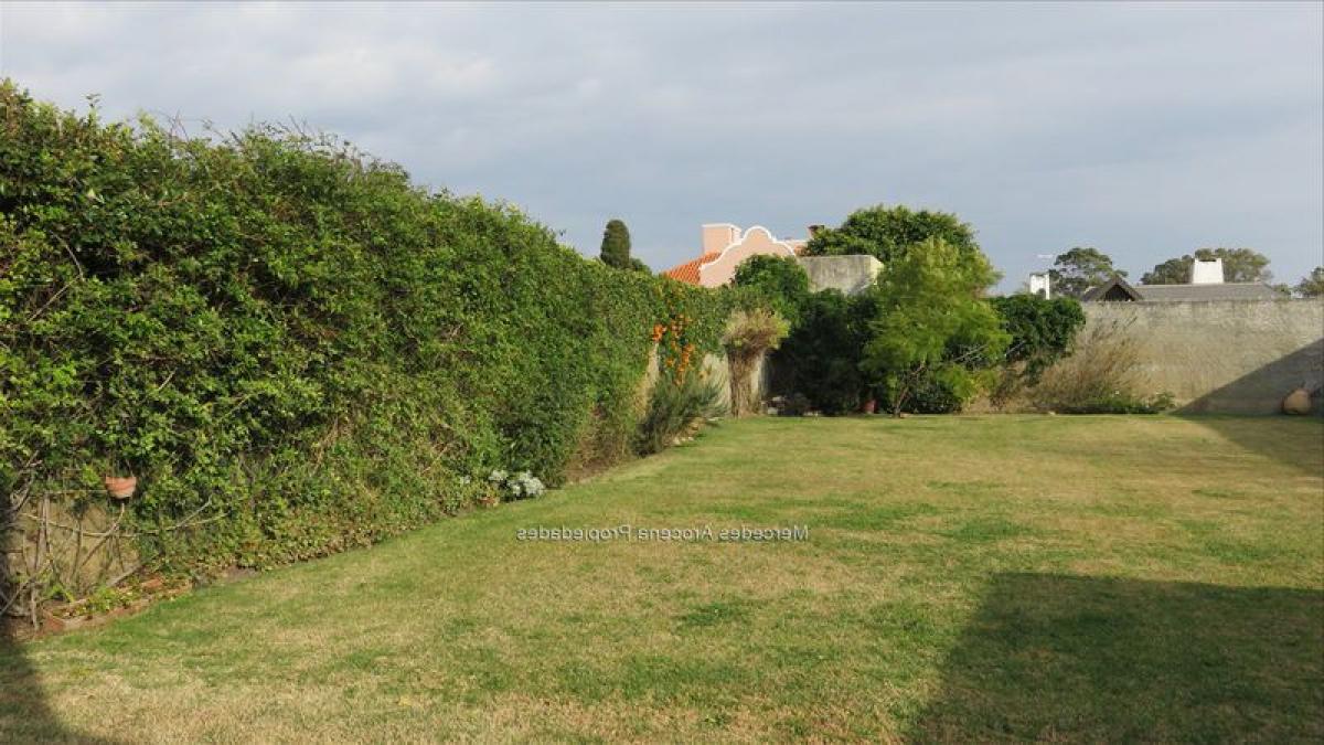 5 Schlafzimmer Haus in Montevideo, Uruguay, Nr. 801