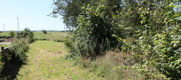 3 bedrooms House in Schleswig-Holstein, Germany No. 107728 9