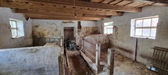 7 rooms House in Haunoldstein, Austria No. 196280 9