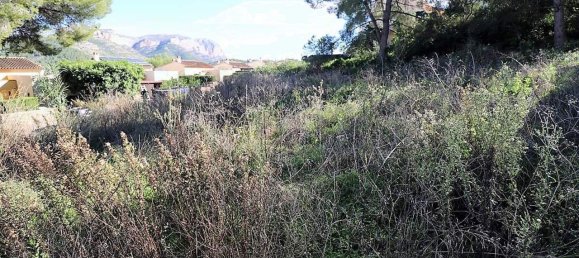  Land in La Sella, Spain No. 285821 5