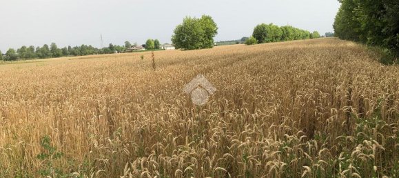 18000m² Land in Pianiga, Italy No. 171633 7