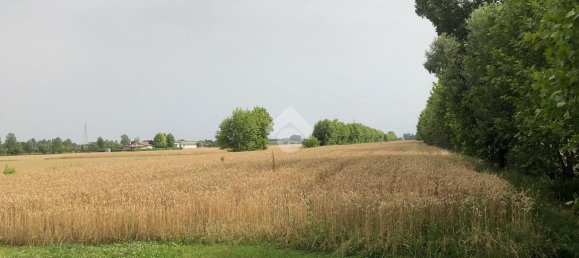 18000m² Land in Pianiga, Italy No. 171633 4