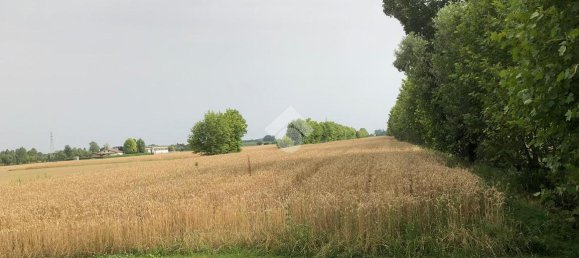 18000m² Land in Pianiga, Italy No. 171633 18
