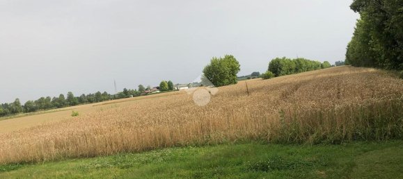 18000m² Land in Pianiga, Italy No. 171633 14