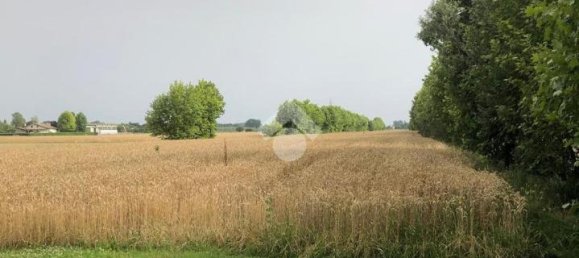 18000m² Land in Pianiga, Italy No. 171633 3