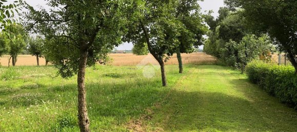 18000m² Land in Pianiga, Italy No. 171633 11
