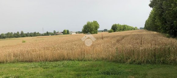 18000m² Land in Pianiga, Italy No. 171633 17
