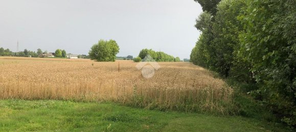 18000m² Land in Pianiga, Italy No. 171633 2