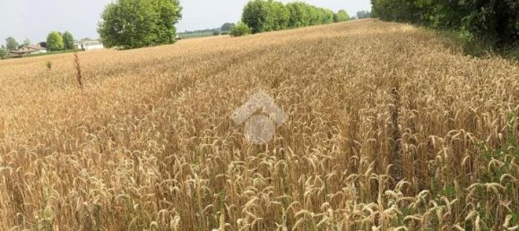 18000m² Land in Pianiga, Italy No. 171633 19