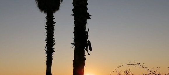 8-Zimmer Villa in Massa, Italy, Nr. 45796 17