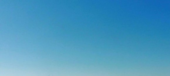 8-Zimmer Villa in Massa, Italy, Nr. 45796 7