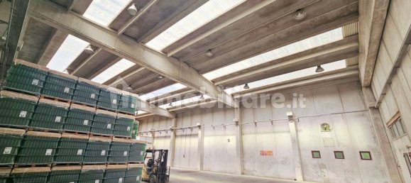 700m² Warehouse in Gorizia, Italy No. 283609 10