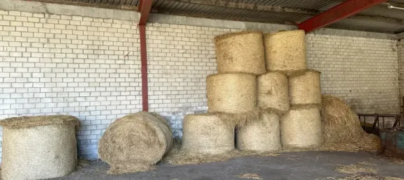 Granja de 10 habitaciónes en Diepholz, Germany No. 371776 17
