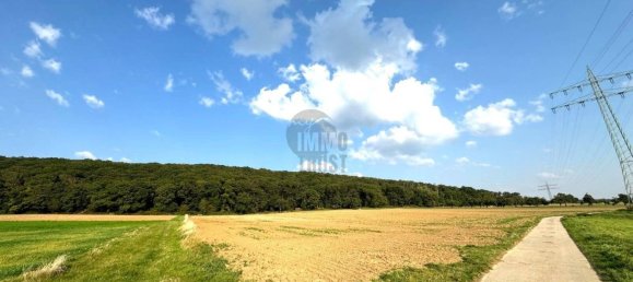 Земельный участок в Висбаден, Германия № 57977 2