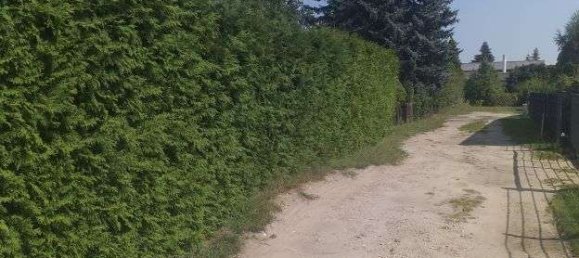  Land in Brandenburg, Germany No. 54029 2