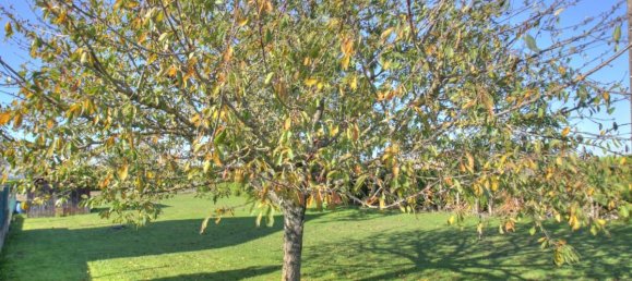 Grundstück in Gidy, France 674m², Nr. 251399 4