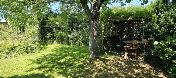 Bungalow de 5 habitaciónes en Sollenau, Austria No. 247706 12