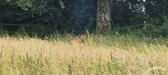 Terreno en Cormont, France 3734 m² No. 267642 3