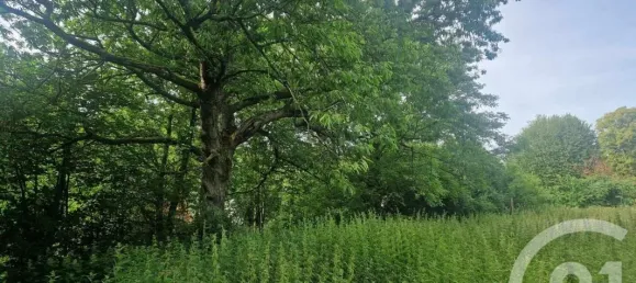 Terreno en Cormont, France 3734 m² No. 267642 4