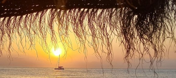 1 bedroom Apartment in Mijas, Spain No. 144186 15