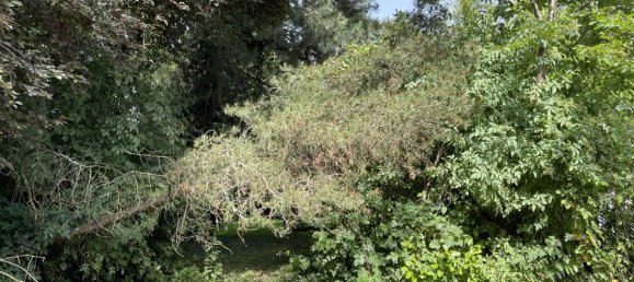 4 غرف نوم بنغالو في Rhein-Sieg, Germany رقم 197025 12