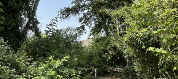 4 غرف نوم بنغالو في Rhein-Sieg, Germany رقم 197025 8