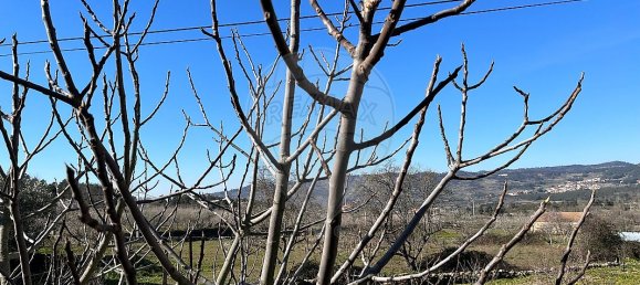 3 bedrooms House in Seixo de Ansiaes, Portugal No. 40849 6