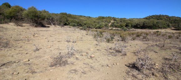  Land in San Martin del Tesorillo, Spain No. 146965 39
