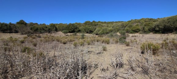  Land in San Martin del Tesorillo, Spain No. 146965 24