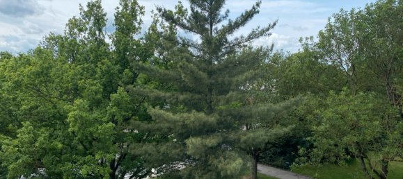 Apartamento de 2 divisões em Peine, Germany N.º 364020 17