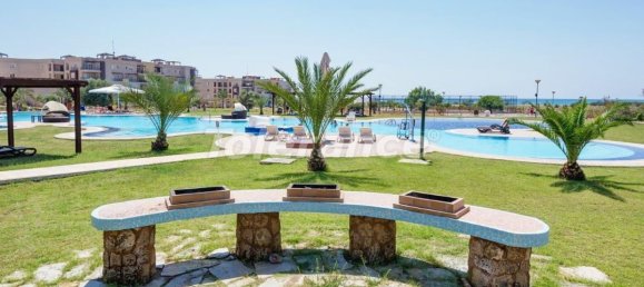 Wohnung 3+1 in Bafra, Turkey, Nr. 12385 17