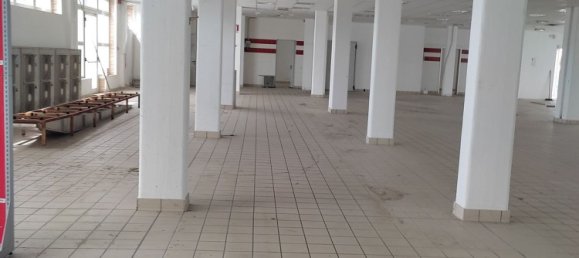 810m² Commercial property in Villa del Conte, Italy No. 227943 8