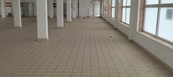 810m² Commercial property in Villa del Conte, Italy No. 227943 6