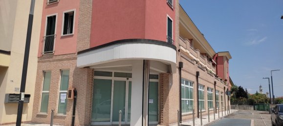 810m² Commercial property in Villa del Conte, Italy No. 227943 5