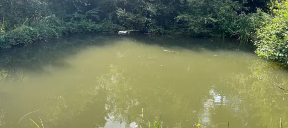 2 bedrooms House in Oberbergischer, Germany No. 202737 3