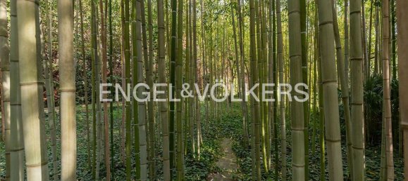 10 rooms Castles in Ariccia, Italy No. 277571 38