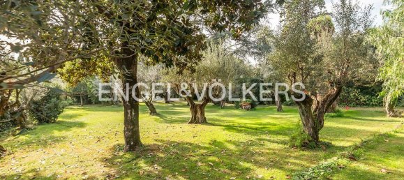 10 rooms Castles in Ariccia, Italy No. 277571 37