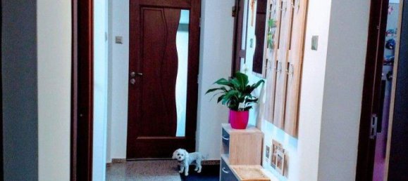 5-Zimmer Haus in Altheim, Austria, Nr. 239997 39