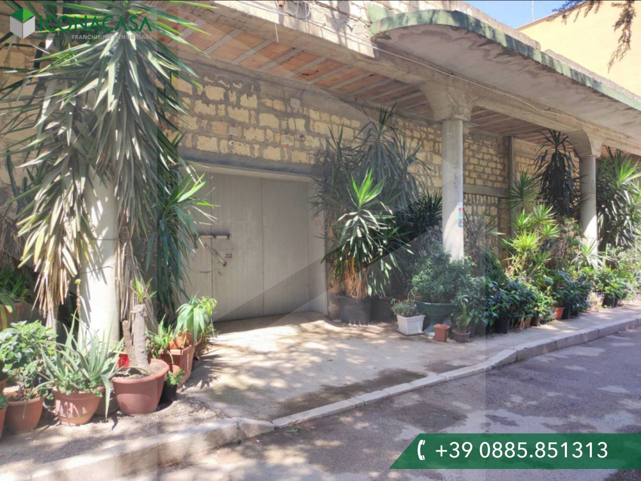 1 room Commercial property in Cerignola, Italy No. 26164