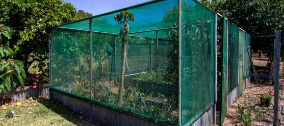 4 chambres Maison à Kingaroy, Australia No. 16 24