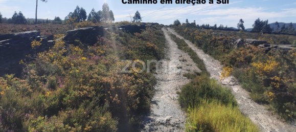 Terrain à Recarei, Portugal No. 34252 39