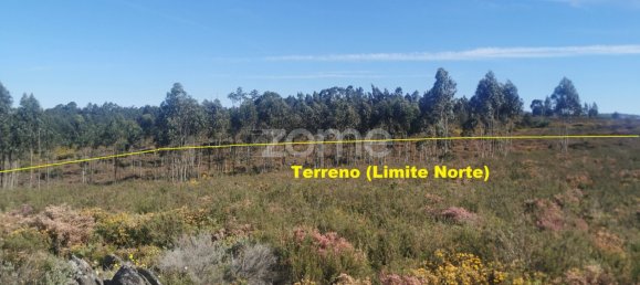 Terrain à Recarei, Portugal No. 34252 13